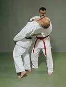 Image result for Jujutsu Sport