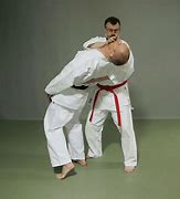 Image result for Jiu Jitsu Mats