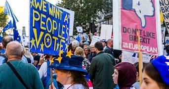 Image result for Pro Brexit Protest