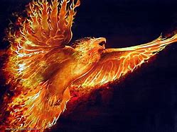 Image result for Flaming Phoenix