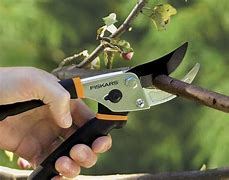 Image result for Pruning Shears Scissors