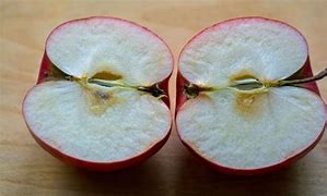 Image result for Half of a Apple Ambroider