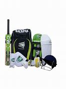 Image result for Cricket Kit Photo