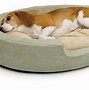 Image result for Warm Dog Beds