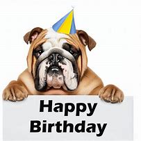 Image result for Bulldog Happy Anniversary