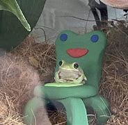 Image result for Whatcha Do In Froggie Pic