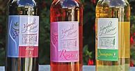 Image result for Chauvilliere Vin Pays Charentais Cuvee Speciale