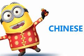 Image result for Chinese Fu Minion Costume