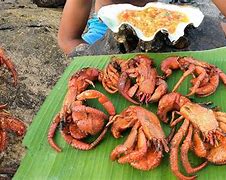 Image result for Hermit Crab Cook