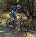 Image result for Project Debut Carbon EVO