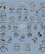 Image result for Martial Arts Moves