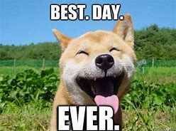 Image result for It's the Best Day Ever Meme