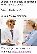 Image result for Dr. Dog Meme
