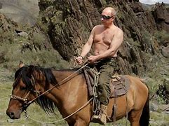 Image result for Putin Riding Bear