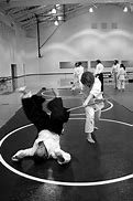 Image result for Akito Martial Arts