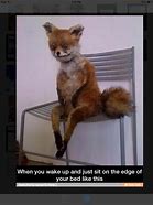Image result for Tail Fox T Pose Meme
