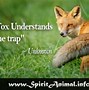 Image result for Famous Fox Quotes