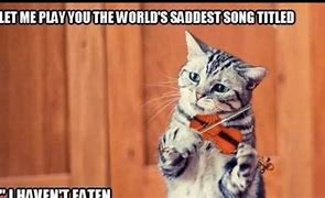 Image result for Sharing Meme with Baby and Cat