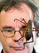 Image result for World's Biggest Cricket Insect