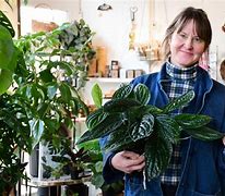 Image result for The Plant Connector Berkshire Magagazine Sarah Harris