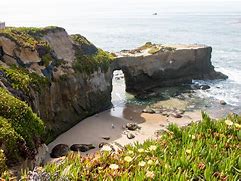 Image result for West Cliff Santa Cruz
