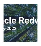 Image result for Redwood Oracle Bird