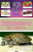 Image result for Digital Flash Cards for Kids