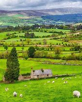 Image result for Medieval Irish Countryside