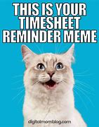 Image result for Timesheet Payday Meme