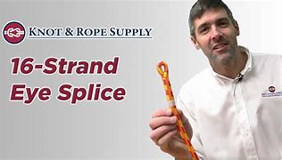 Image result for Lead Rope Snaps