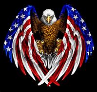 Image result for United States Eagle Logo