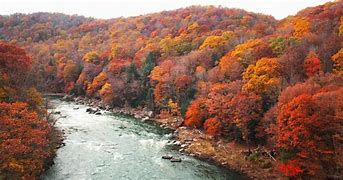 Image result for Pennsylvania Fall Foliage