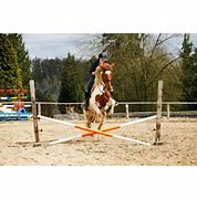 Image result for Horse Jumping Frames