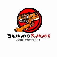 Image result for Kickstart Karate Logo