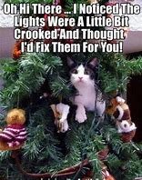 Image result for Cat Christmas Tree Meme