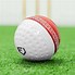 Image result for How to Swing a Cricket Ball Book