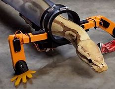 Image result for Snake Arm Robot