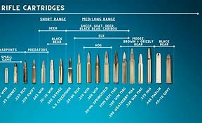 Image result for Bullet All Shapes and Sizes