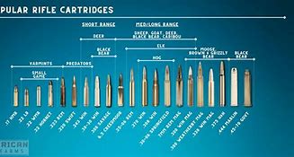 Image result for 22 vs 223 Ammo