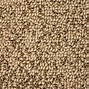 Image result for Green Carpet Texture Seamless