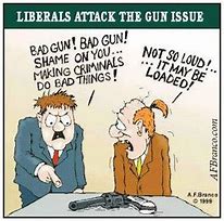 Image result for 2nd Amendment Funny Kid Friendly