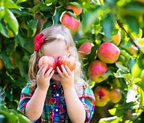 Image result for Can I Have an Apple