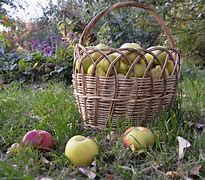 Image result for Apple Basket