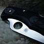 Image result for Drop Point Hunting Knife