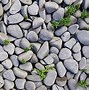 Image result for Coloured Pebbles Art