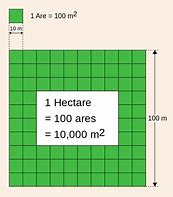 Image result for Hectare Symbol