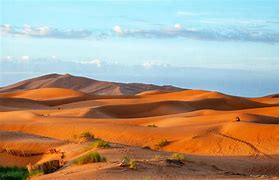 Image result for Red Sand Desert