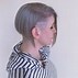 Image result for Ash Gray Hair Color
