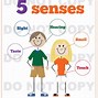 Image result for The Five Senses Chart Grown UPS