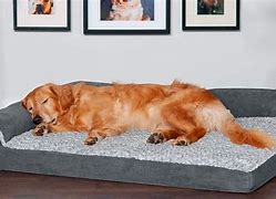 Image result for Best Dog Beds for Golden Retrievers